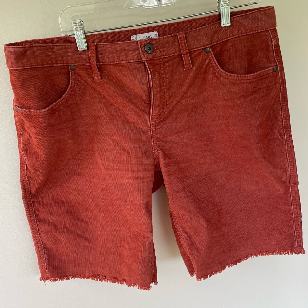 EUC Carve Design 10” Oahu shorts